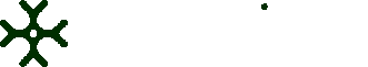 Dornika Parsin Nik Asia