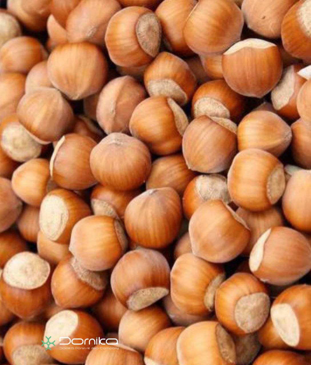 Hazelnut