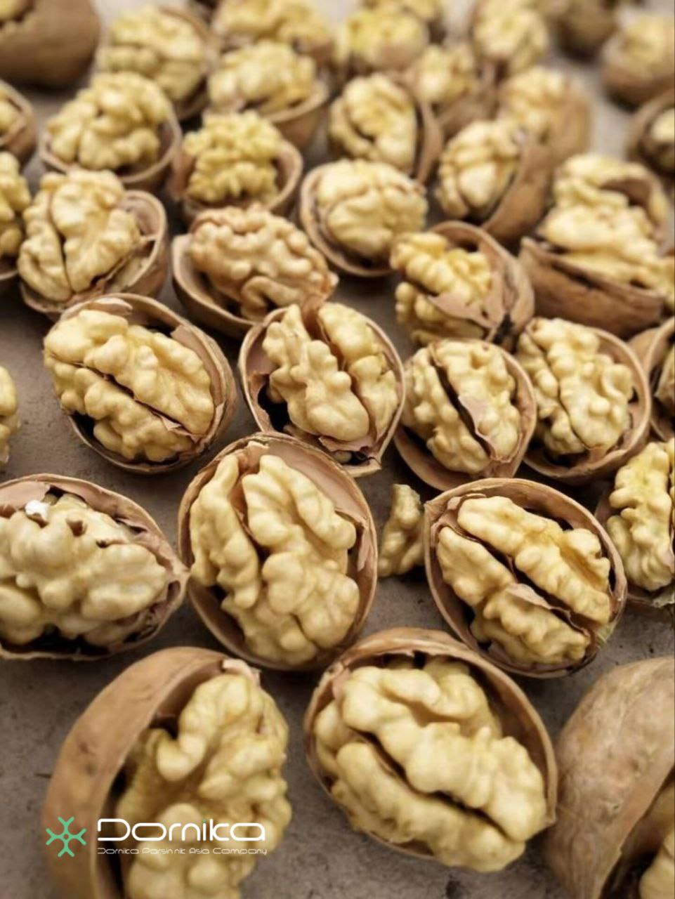 Walnut
